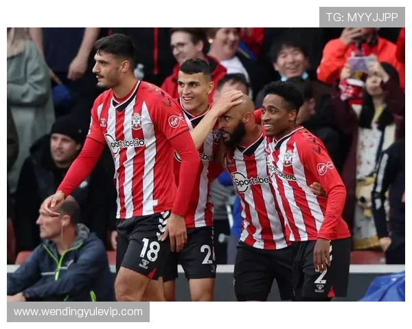 南安普顿足球俱乐部发展历程与未来展望分析